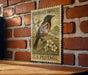 A vintage U.S. postage stamp featuring an illustration of an oriole bird perched on a branch with flowers, mounted on a brick wall.