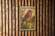 A vintage Purple Finch postage stamp is displayed on a wooden wall.