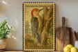 A framed vintage postage stamp depicting a red-bellied woodpecker, with a potted plant and kitchen utensils visible in the background.
