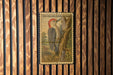 A U.S. postage stamp featuring a red-bellied woodpecker is displayed on a wooden wall.