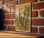 A vintage U.S. postage stamp featuring a red-bellied woodpecker perched on a tree, mounted on a brick wall.