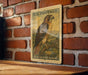 A vintage U.S. postage stamp featuring a red-tailed hawk is displayed on a brick wall.
