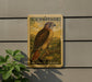 A U.S. postage stamp featuring a red-tailed hawk is displayed on a wall, with a plant visible to the left.
