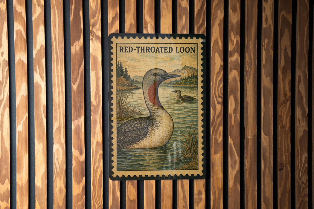 A framed illustration of a red-throated looon, a type of bird, is displayed on a wooden wall.