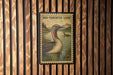 A framed illustration of a red-throated looon, a type of bird, is displayed on a wooden wall.