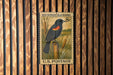 A U.S. postage stamp featuring a black bird with red and orange markings, standing on a cattail plant.