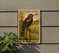 A postage stamp featuring a red-winged blackbird, with the text "RED-WINGED BLACKBIRD 8c" and "U.S. POSTAGE" printed on it.