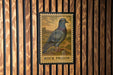 A postage stamp featuring a detailed illustration of a rock pigeon is displayed on a wooden wall.