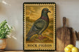 A framed illustration of a rock pigeon is displayed on a shelf, accompanied by a wooden cutting board, a potted plant, and some lemons.