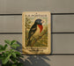 A U.S. postage stamp featuring a colorful bird, specifically a rose-breasted grosbeak, perched on a branch.