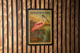 A framed illustration of a pink and white bird, resembling a spoonbill, is displayed on a wooden wall.