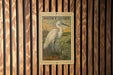 A framed illustration of a white egret is displayed on a wooden wall.