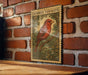 a red bird perched on a branch, with a brick wall in the background.
