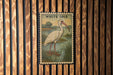 A framed illustration of a white ibis bird is displayed on a wooden wall.