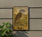 a white-crowned sparrow perched on a branch, with a stamp-like border around the bird.