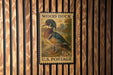 A vintage U.S. postage stamp featuring a wood duck, mounted on a wooden wall.