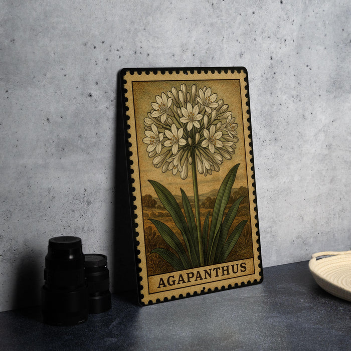A framed illustration of a flower, specifically an Agapanthus, is displayed on a wall next to a stack of black camera lenses.