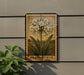 a framed botanical illustration of a flower, specifically an Agapanthus, mounted on a wall.