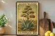 A framed postage stamp depicting an agave plant, with the text "AGAVE BLOOM" and "U.S. POSTAGE 20¢" printed on it. The stamp is placed on a shelf next to a wooden cutting board and a potted plant.