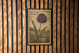 A postage stamp featuring a large, round flower with a green stem and leaves, mounted on a wooden wall.