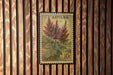A 10c postage stamp from the country of Astilbe, featuring a floral illustration of a plant.