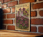 A framed illustration of purple flowers is hanging on a brick wall, with the word "AUBRIETA" written on the frame.