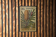A 20c Australian postage stamp featuring a Banksia flower is displayed on a wooden wall.