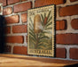 A 20c Australian postage stamp featuring a Banksia flower is displayed on a brick wall.