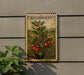 A vintage-style stamp-like sign with the word "BEARBERRY" printed on it, featuring a detailed illustration of a bearberry plant with red berries.