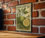 A vintage-style postage stamp featuring a lemon and a leaf, mounted on a brick wall.