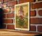 A U.S. postage card featuring a red cardinal flower is displayed on a brick wall.