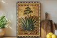 A vintage-style postage stamp featuring an illustration of an agave plant, placed on a wooden surface next to a wooden cutting board and a potted plant.