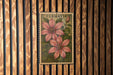 A framed botanical illustration of clematis flowers is displayed on a wooden wall.