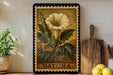 A framed illustration of a white flower with green leaves, labeled "DATURA", is displayed on a shelf next to a wooden cutting board and a potted plant.