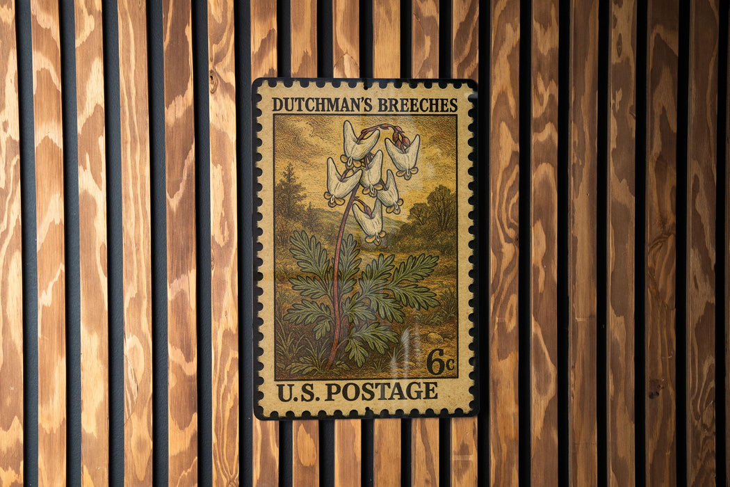 A vintage U.S. postage stamp featuring a Dutchman's breeches plant, mounted on a wooden wall.