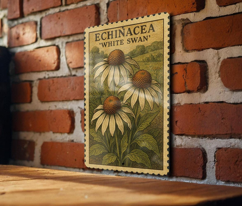 a vintage-style botanical illustration of three echinacea flowers, with the text "ECHINACEA 'WHITE SWAN'" displayed prominently.
