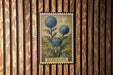 A framed botanical illustration of a thistle flower is displayed on a wooden wall.