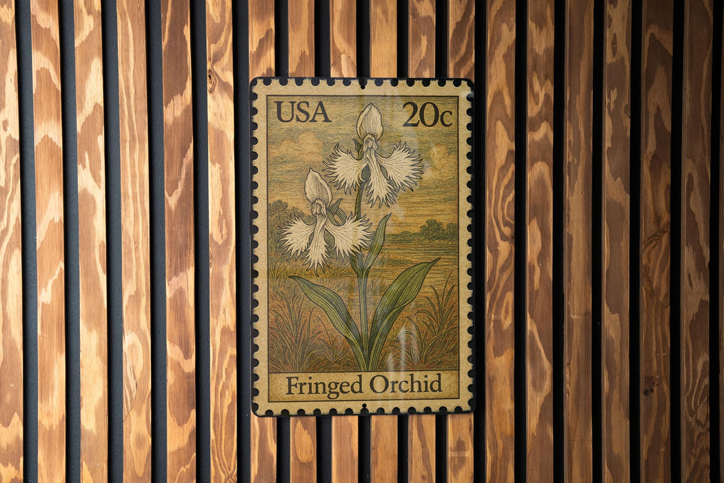 A postage stamp featuring a close-up of a fringed orchid plant, with the text "USA 20c" and "Fringed Orchid" printed on it.