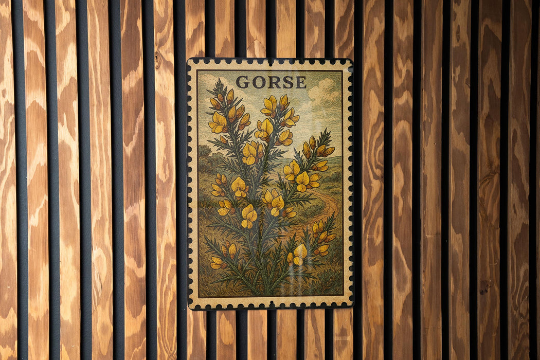 a framed illustration of a plant with yellow flowers, mounted on a wooden wall.