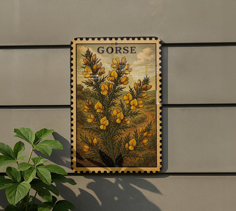 a framed illustration of a plant with yellow flowers, mounted on a wall next to a plant.