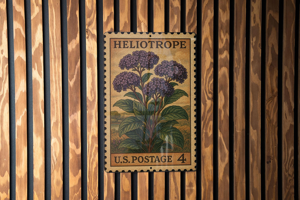 A vintage U.S. postage stamp featuring a purple heliotrope plant is displayed on a wooden wall.