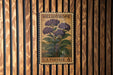 A vintage U.S. postage stamp featuring a purple heliotrope plant is displayed on a wooden wall.