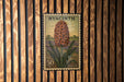 A postage stamp from Hyacinth, featuring a large flower with green leaves, is displayed on a wooden wall.