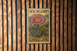 A vintage 20c United States postage stamp featuring an illustration of a cactus plant.