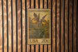 A vintage 20c US postage stamp featuring a yellow orchid plant is displayed on a wooden wall.
