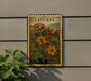 A framed illustration of a plant with yellow and red flowers is displayed on a wall, with a potted plant to the left.
