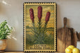 a framed illustration of three red flowers, labeled as "Liatris Blazing Star", placed on a shelf next to a wooden cutting board and a potted plant.