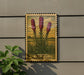 a framed illustration of three red flowers on a wall, with the text "LATRIS BLAZING STAR" below the image.