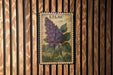 A vintage-style postage stamp featuring a close-up of a purple lilac flower is displayed on a wooden wall.
