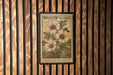 A vintage postage stamp depicting a flower labeled as 'Mallow (Marsh)', displayed on a wooden wall.